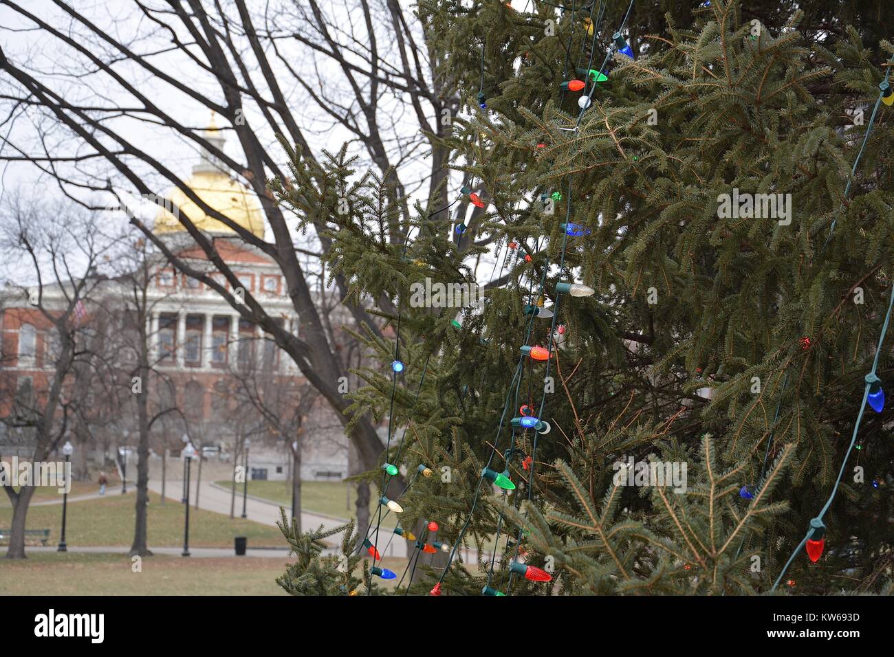 Boston decorated for the Christmas and holiday Season in late December