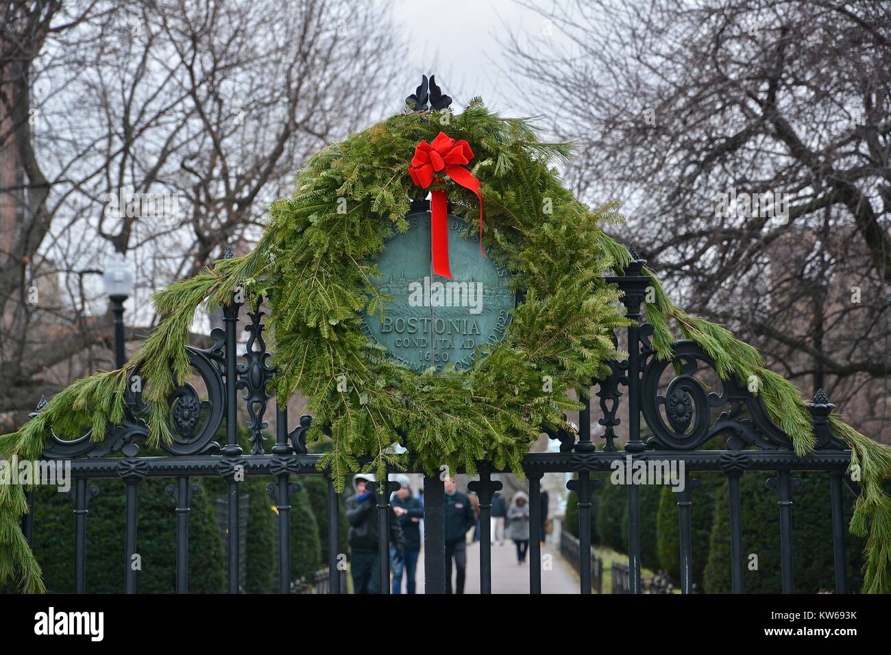 Halifax tree for boston hires stock photography and images Alamy