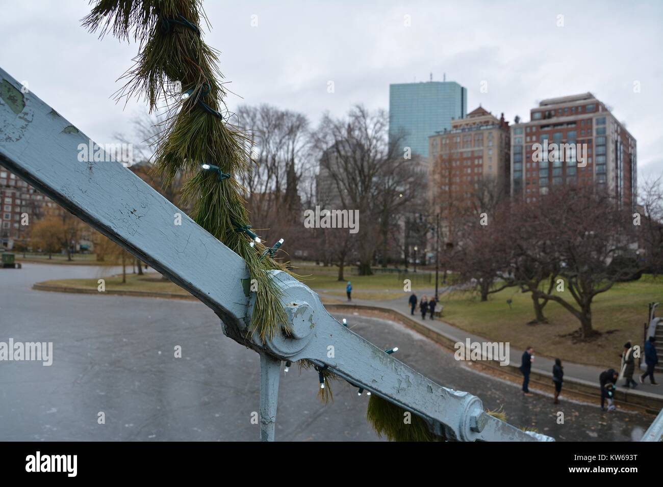 Halifax tree for boston hires stock photography and images Alamy