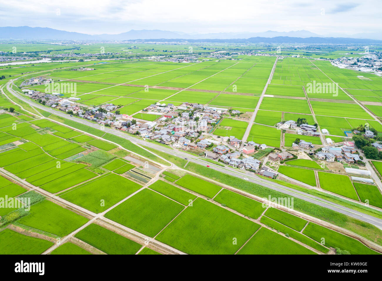 Rice Field, MinamiKu, Niigata City, Niigata Prefecture, Japan Stock