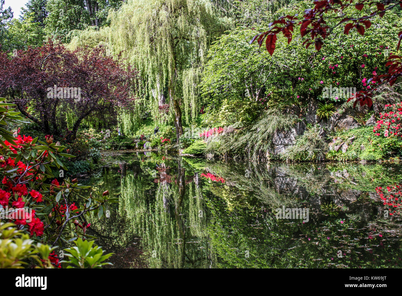 Reflections of gardens in water Stock Photo Alamy