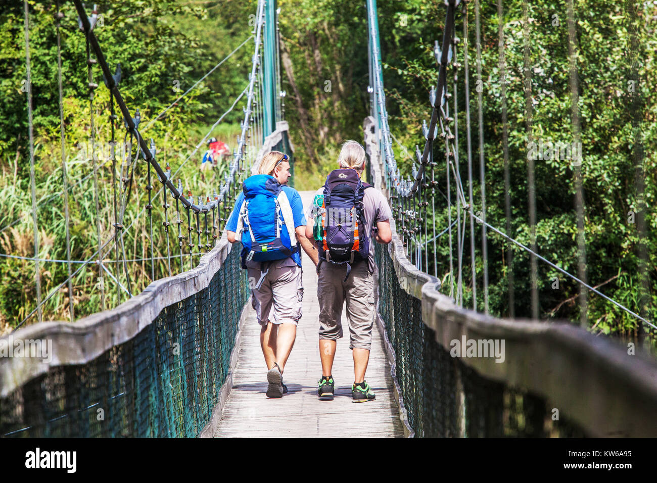 Podyji National Park, Pedestrian bridge, Dyje River Valley, Czech Republic hike Stock Photo