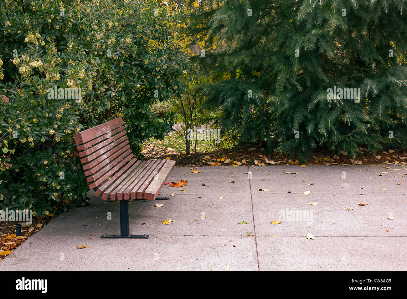 Park bench on concrete slab Stock Photo Alamy