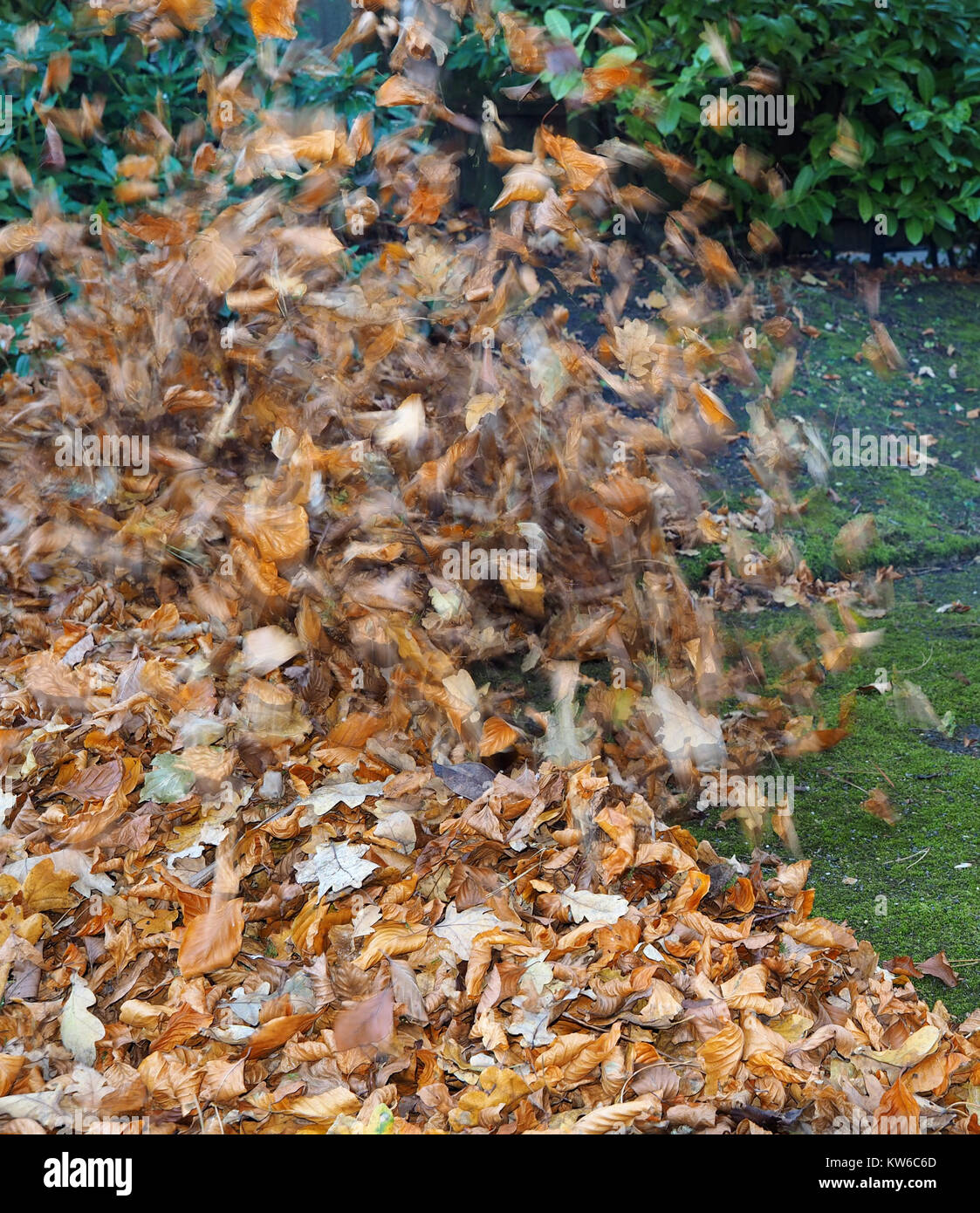 Leaves blowing in the wind autumn hires stock photography and images Alamy