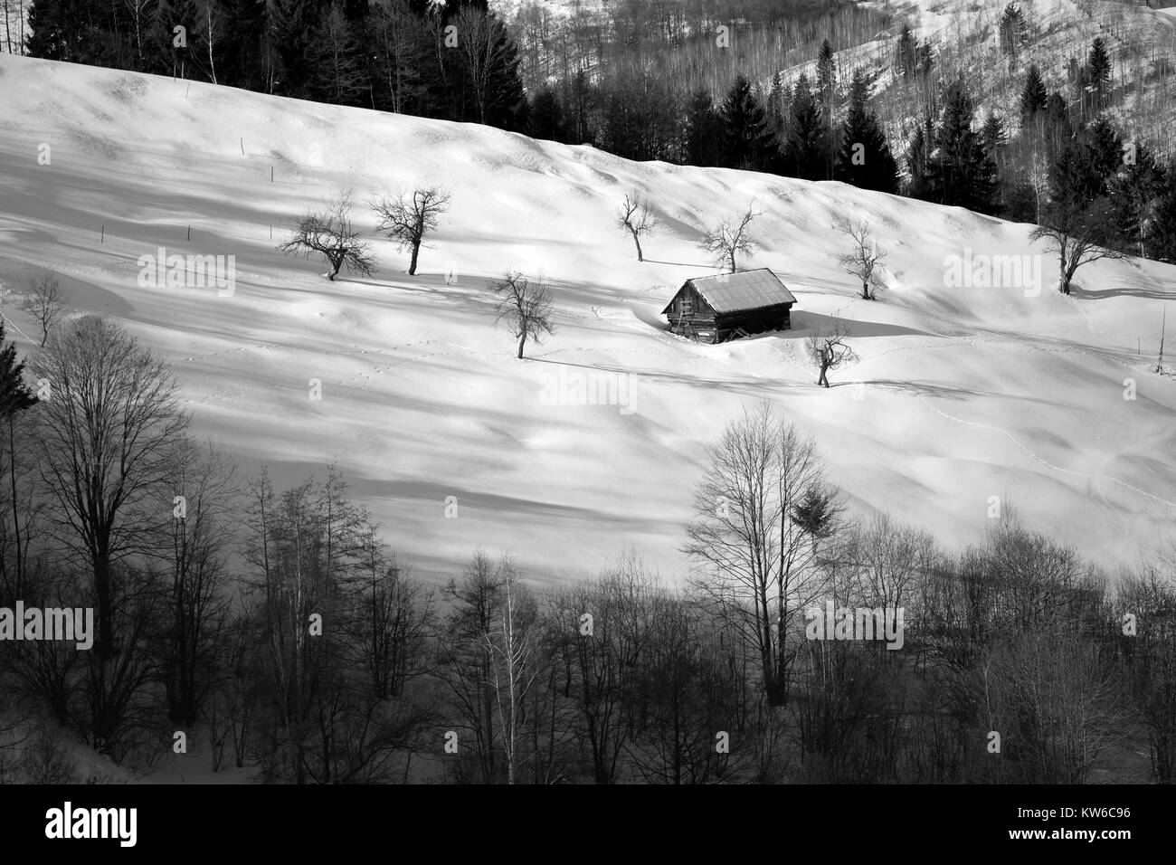 Beautiful winter landscape in Transylvania Stock Photo