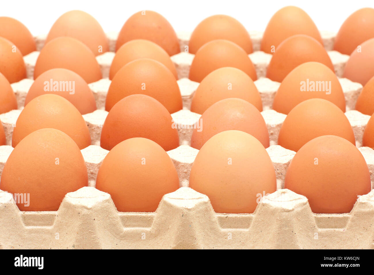 rows of eggs in a protective container Stock Photo Alamy