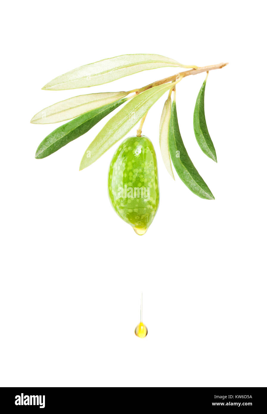 Green Olive and Falling Drop of Olive Oil Isolated on White Background Stock Photo