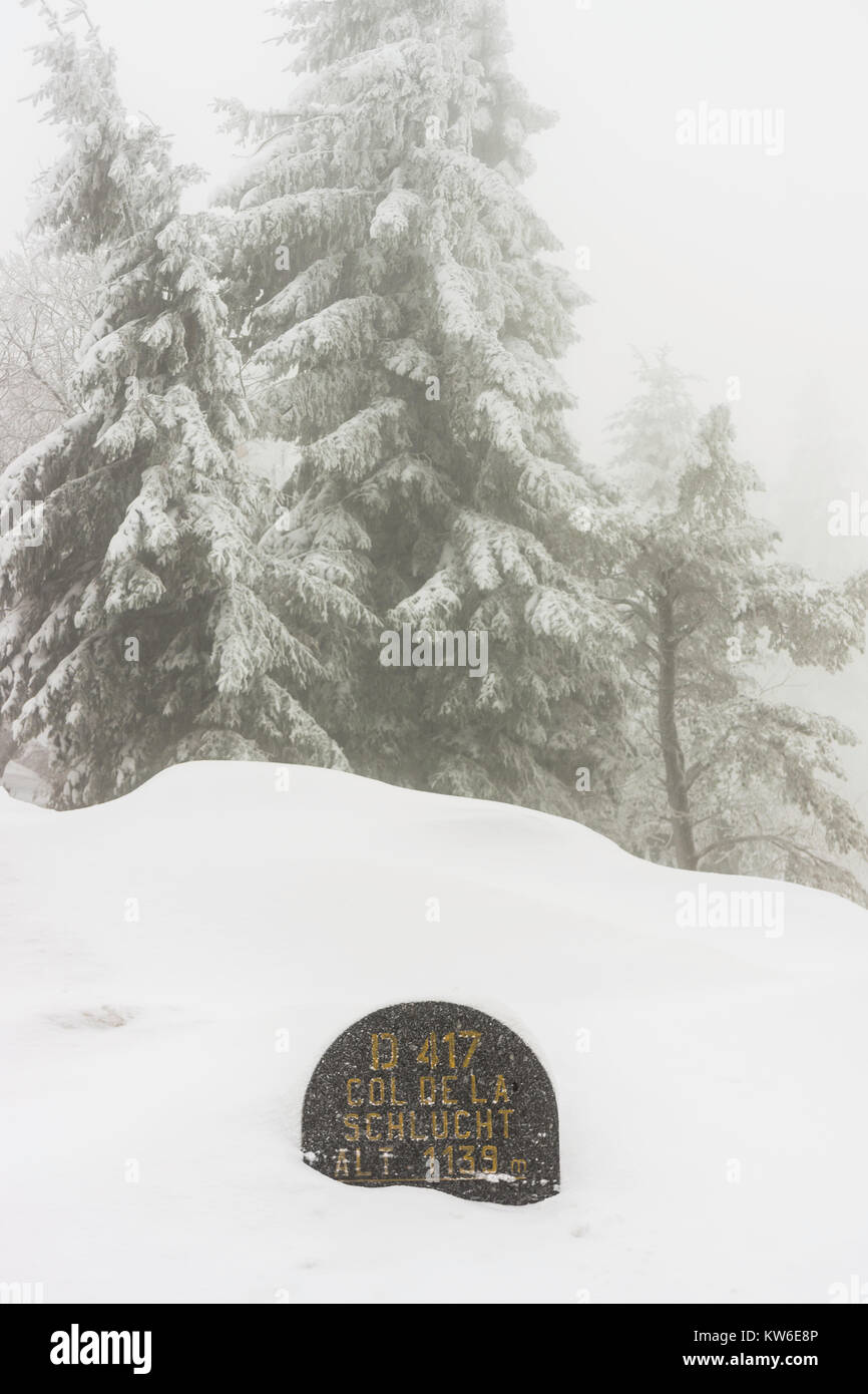 Stone sign indicating the summit of the Col de la Schlucht covered with snow in a wintry atmosphere with snowy firs in the background, Vosges, France. Stock Photo