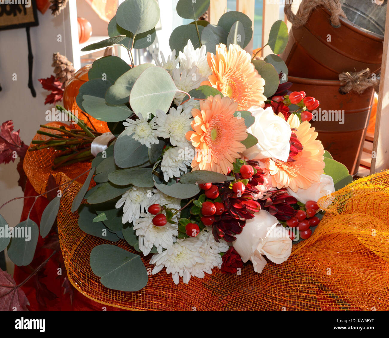 An autumn bridal bouquet of peach gerbera daisies, white mums, red hypericum berries, roses and silver dollar eucalyptus against a fall background. Stock Photo