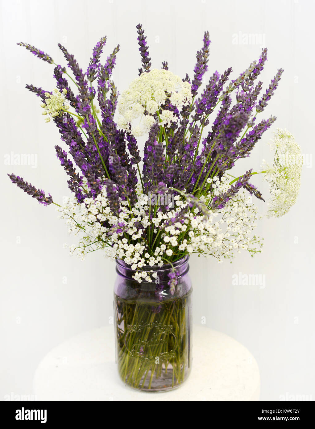Canning Jar Filled With Lavender Queen Ann S Lace Wildflowers And Stock Photo Alamy