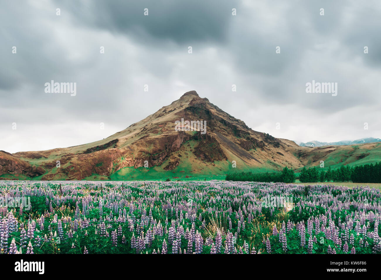 Typical Iceland landscape with mountains Stock Photo