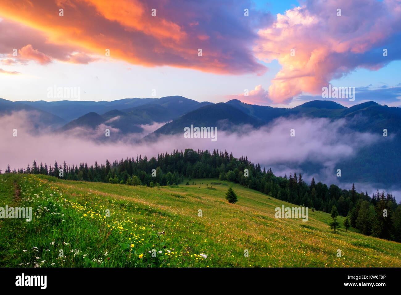 Picturesque summer landscape with colorful sunrise Stock Photo