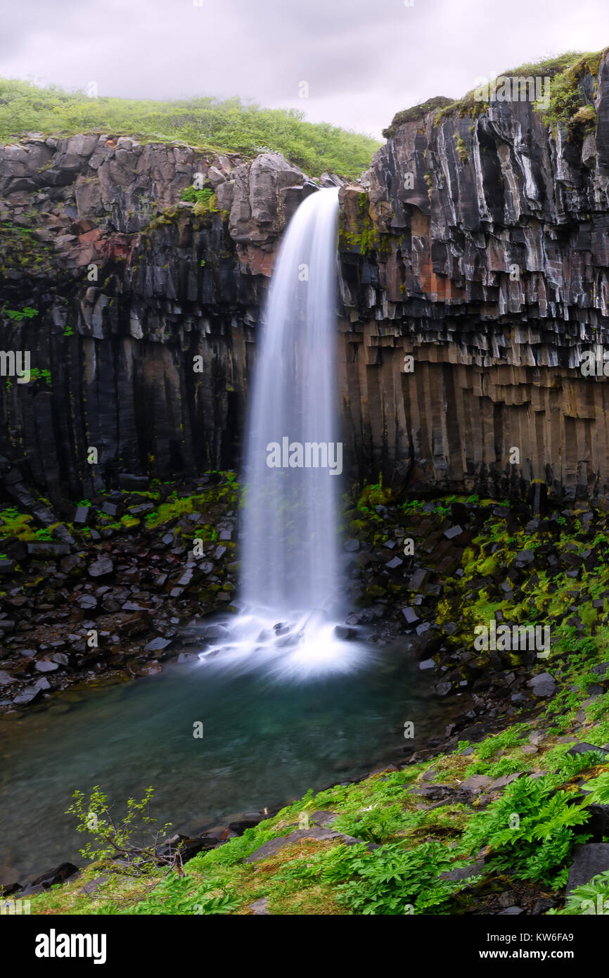 Famous Svartifoss waterfall Stock Photo