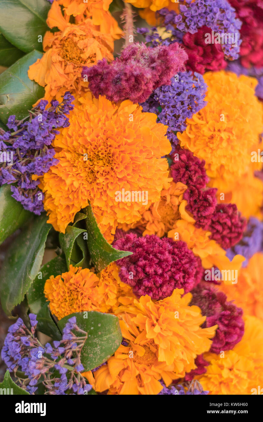 Marigold BlenderBottle combines golden orange with a touch of purple