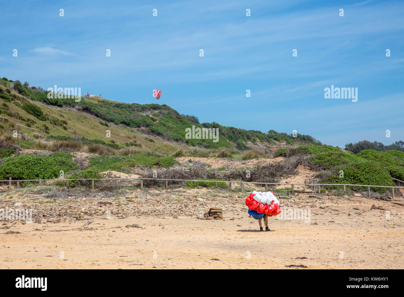 Male paraglider lands at Long Reef Point and collects his canopy together,Sydney,Australia Stock Photo