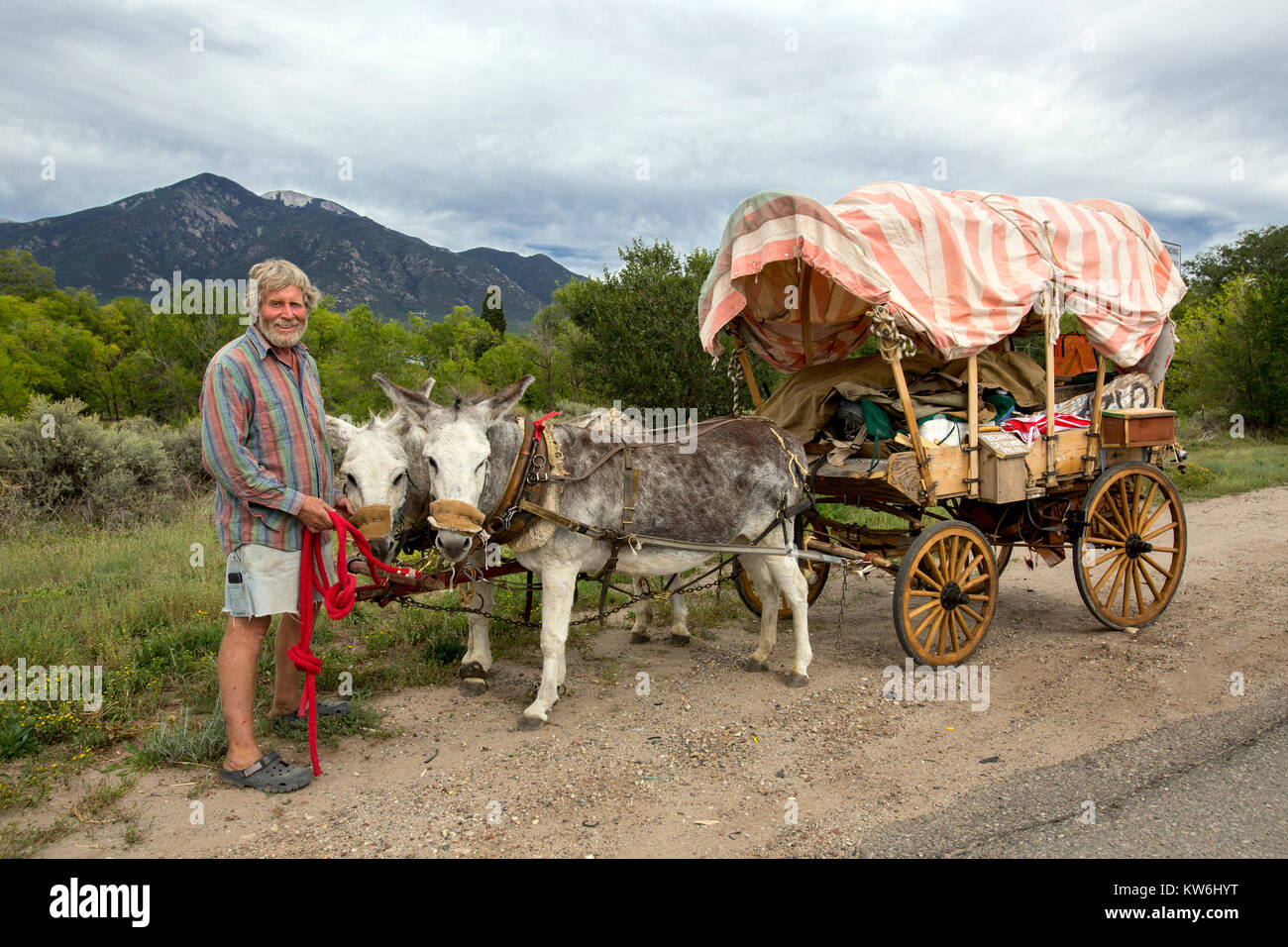 Covered wagon pulled by mules, Rio Grande, New Mexico Stock Photo
