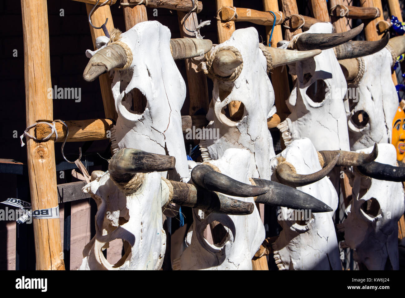 Old West cow skulls, Santa Fe, New Mexico Stock Photo