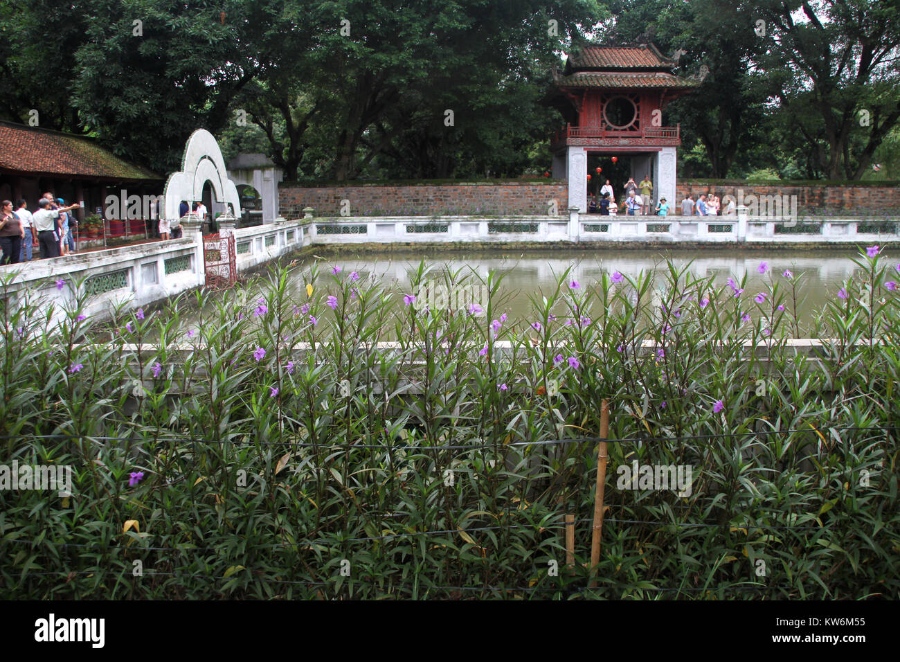 Pond and green grass in the second yard of Literature temple in Hanoi, Vietnam Stock Photo