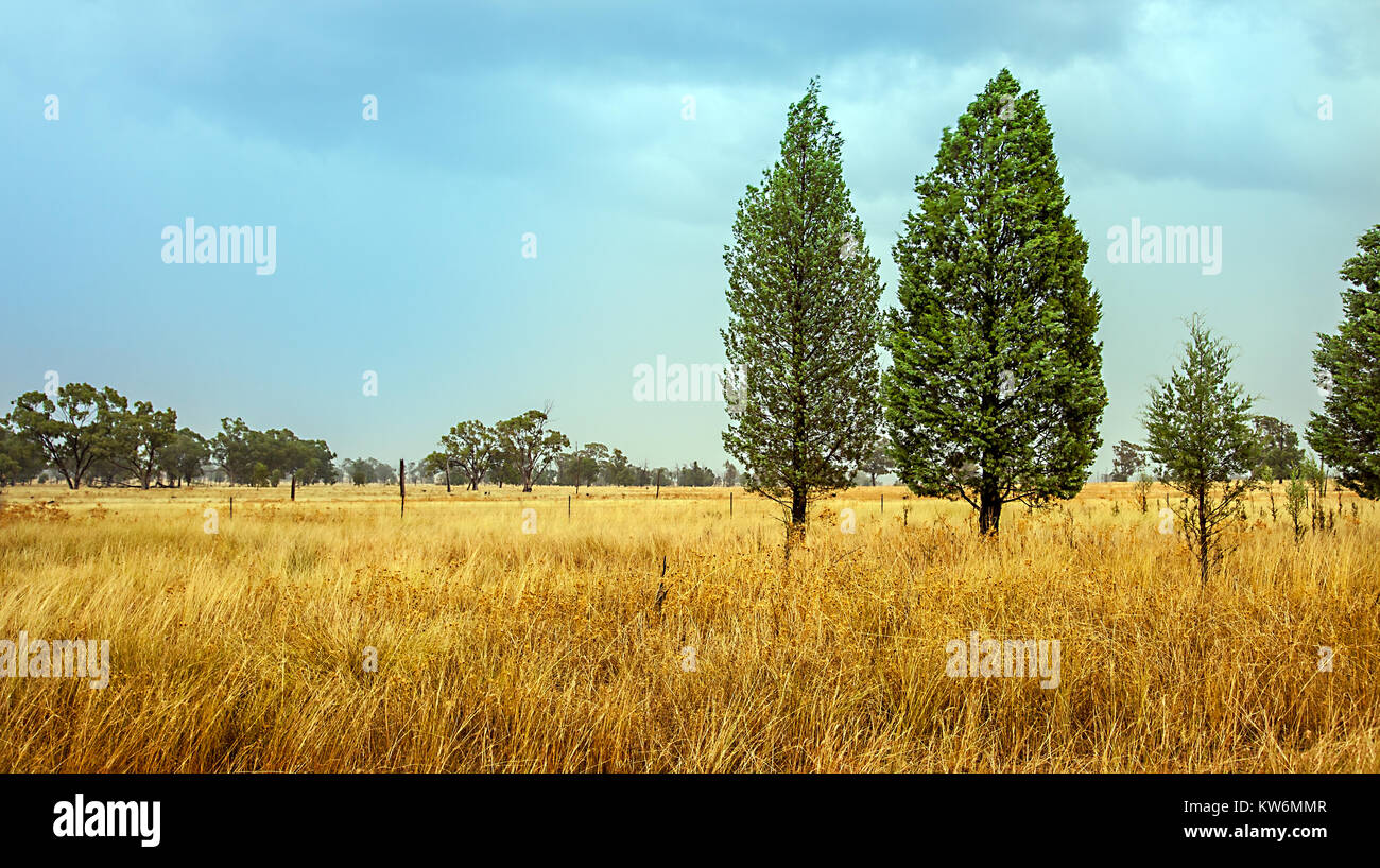 Outback at Dubbo New South Wales Australia Stock Photo