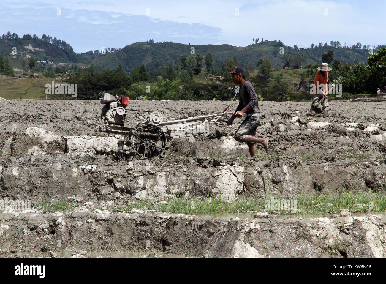 Filthy Rice Farmer People work on the dirty rice field, Indonesia Stock Photo - Alamy