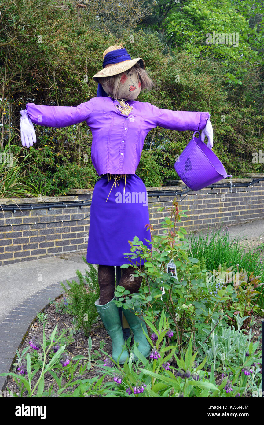 Woman Scarecrow Dressed in Purple on Display at RHS Garden, Harlow Carr, Harrogate, Yorkshire. UK. Wellies Stock Photo