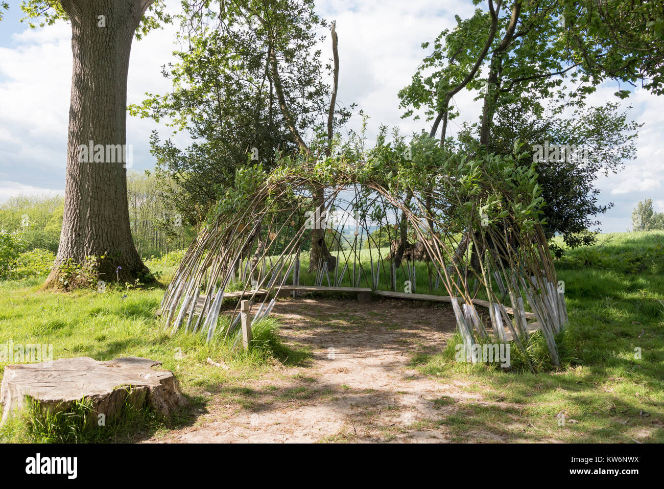 Small hut made out of living willow trees Stock Photo