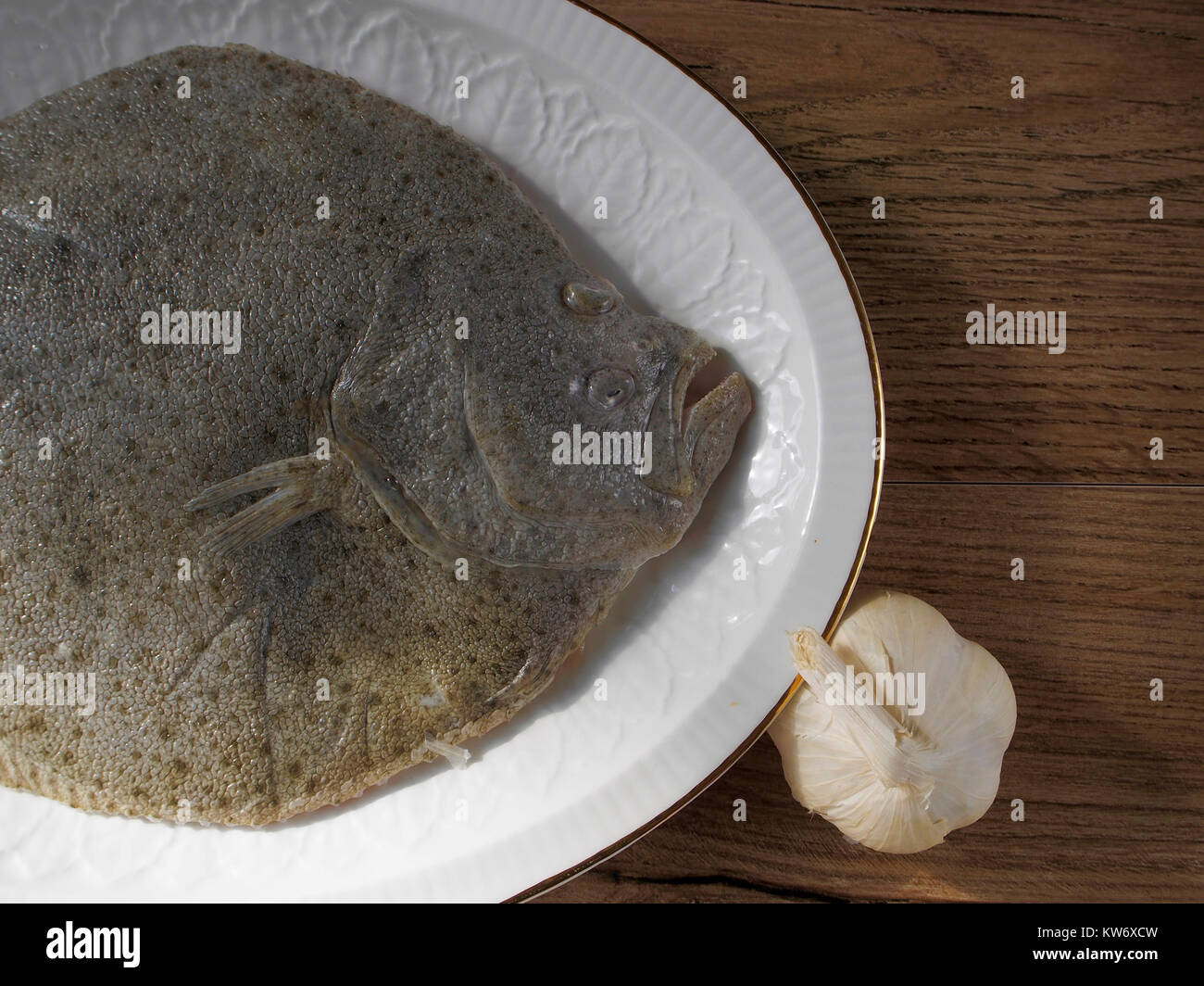 Turbot in a plate with garlic on wood background Stock Photo
