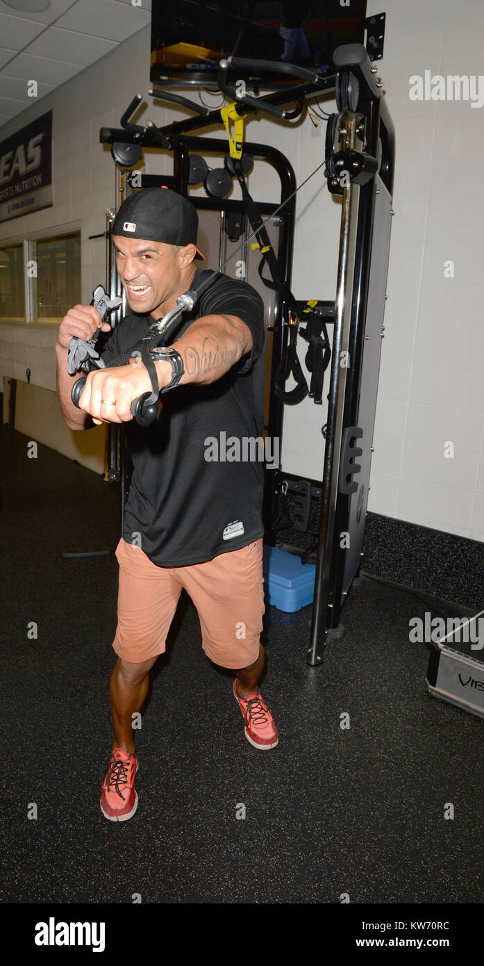 MIAMI, FL - AUGUST 19: (EXCLUSIVE COVERAGE) UFC Fighter Vitor Belfort pays a visit to his Miami Marlin friends and grabs a quick Haircut at Headzup with the Marlins Barber Hugo “Juice” Tandron prior to their game at Marlins Park. Vitor Vieira Belfort is a Brazilian mixed martial artist and former UFC Light Heavyweight Champion as well as UFC 12 Heavyweight Tournament Champion. Belfort was born in Rio de Janeiro and studied jiu-jitsu with the Gracie family, namely Carlson Gracie. As of July 22, 2014, he is #2 in official UFC middleweight rankings, #13 in light heavyweight and #12 pound-for-poun Stock Photo