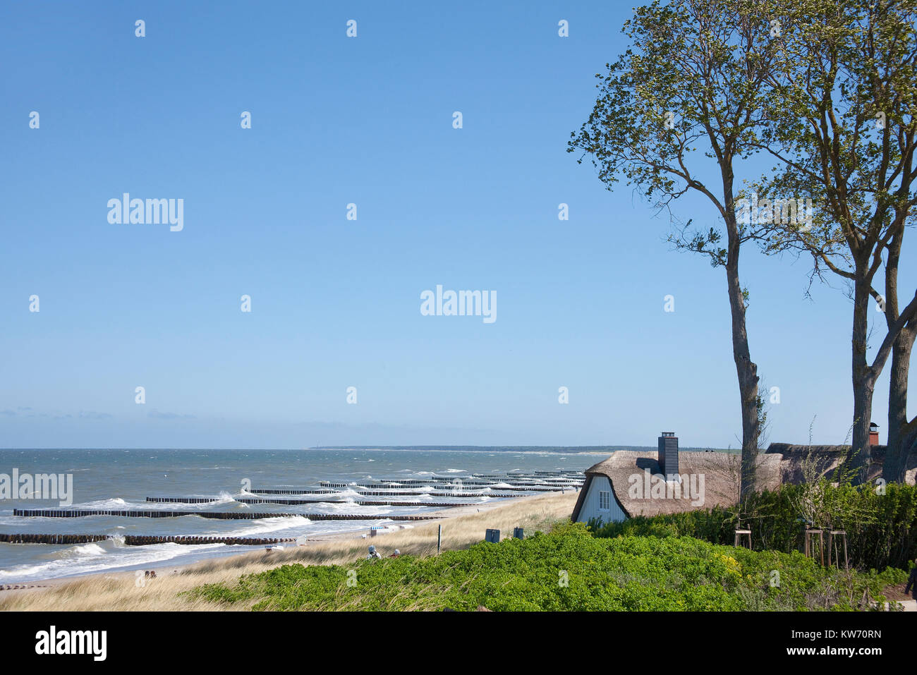 Thatched-roof house at 'Hohes Ufer', coast of Ahrenshoop, Fishland, Mecklenburg-Western Pomerania, Baltic Sea, Germany, Europe Stock Photo