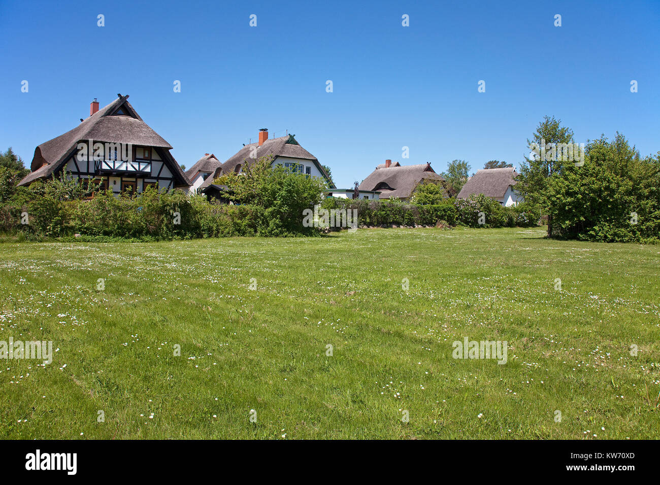 Thatched-roof houses at the village Ahrenshoop, Fishland, Mecklenburg-Western Pomerania, Baltic Sea, Germany, Europe Stock Photo