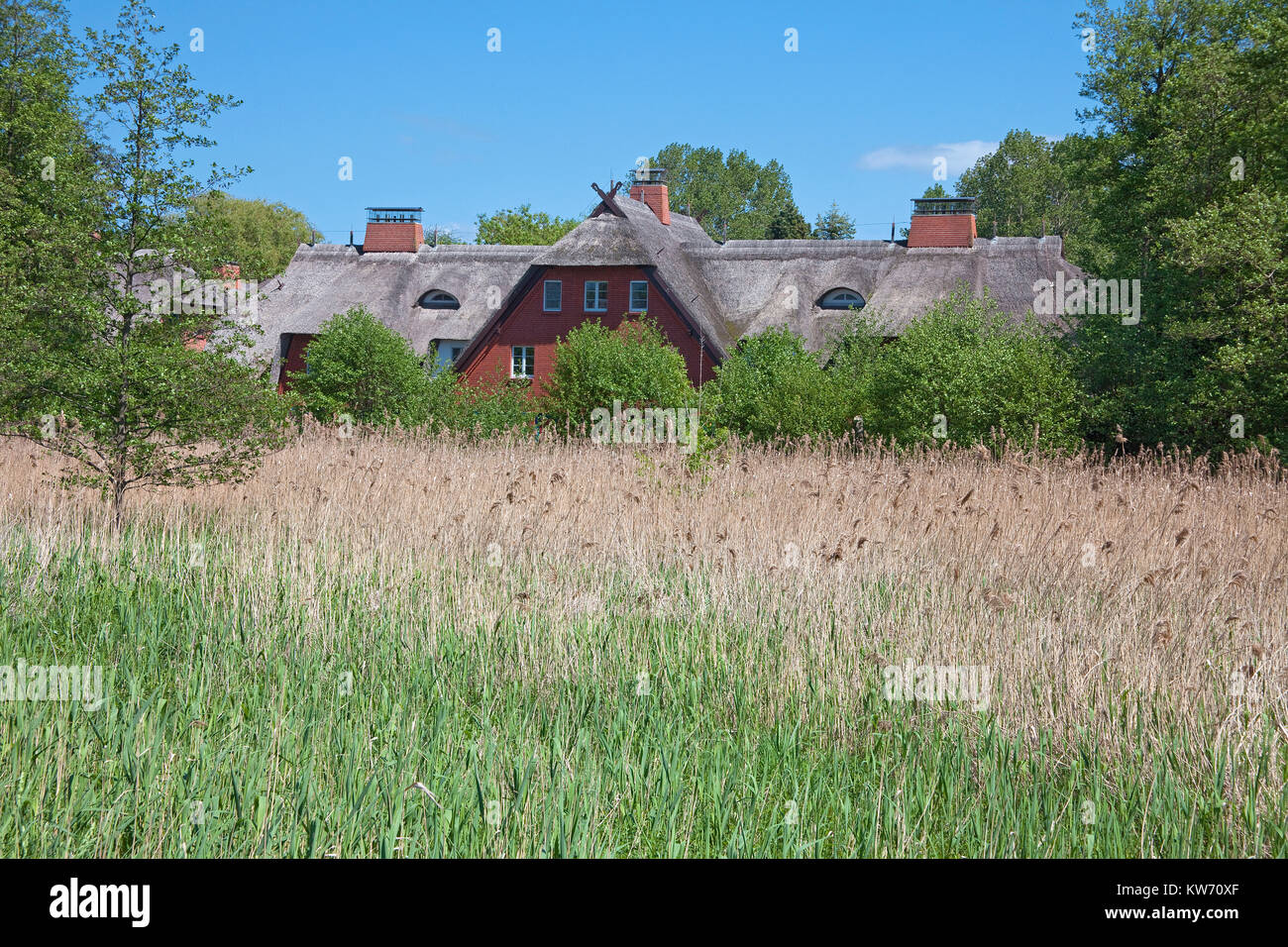 Thatched-roof houses at the village Ahrenshoop, Fishland, Mecklenburg-Western Pomerania, Baltic Sea, Germany, Europe Stock Photo