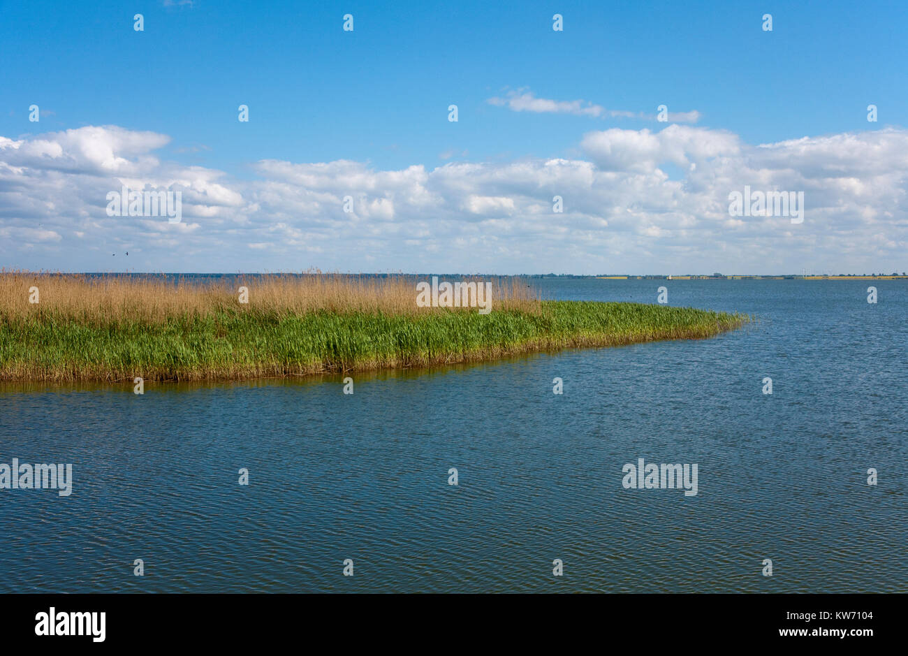 Booden landscape at the harbour of Althagen, Ahrenshoop, Fischland, Baltic sea, Mecklenburg-Western Pomerania, Germany, Europe Stock Photo