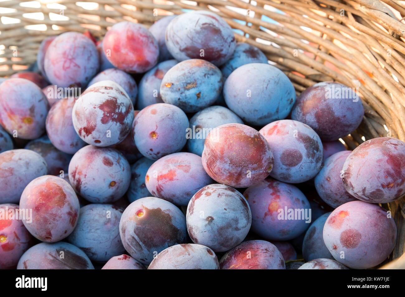 Fresh ripe plums texture, background in a basket Stock Photo