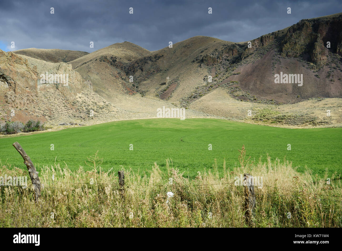 Irrigated grass meadow and dry rocky hills along Bitterroot river, Highway 93 near Victor