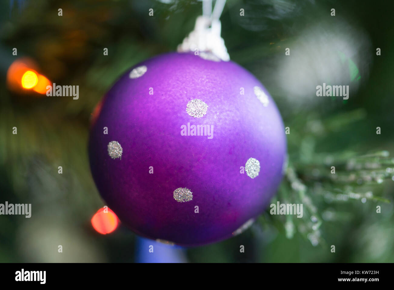 A closeup of a single purple bauble decoration with silver spots hanging from a Christmas tree Stock Photo