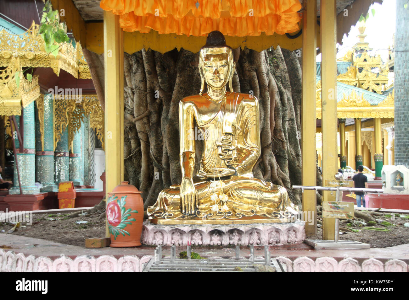 Golden Buddha under sacral tree nar Shwe Dagon paya, Yangon, Myanmar ...