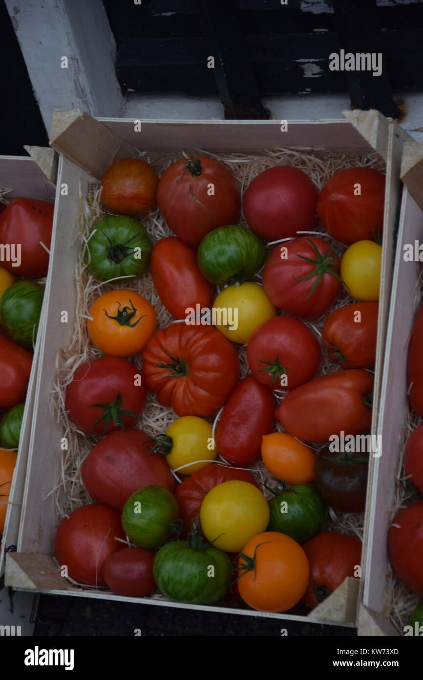 You're one of a kind. A crate of tomatoes all of them different Stock