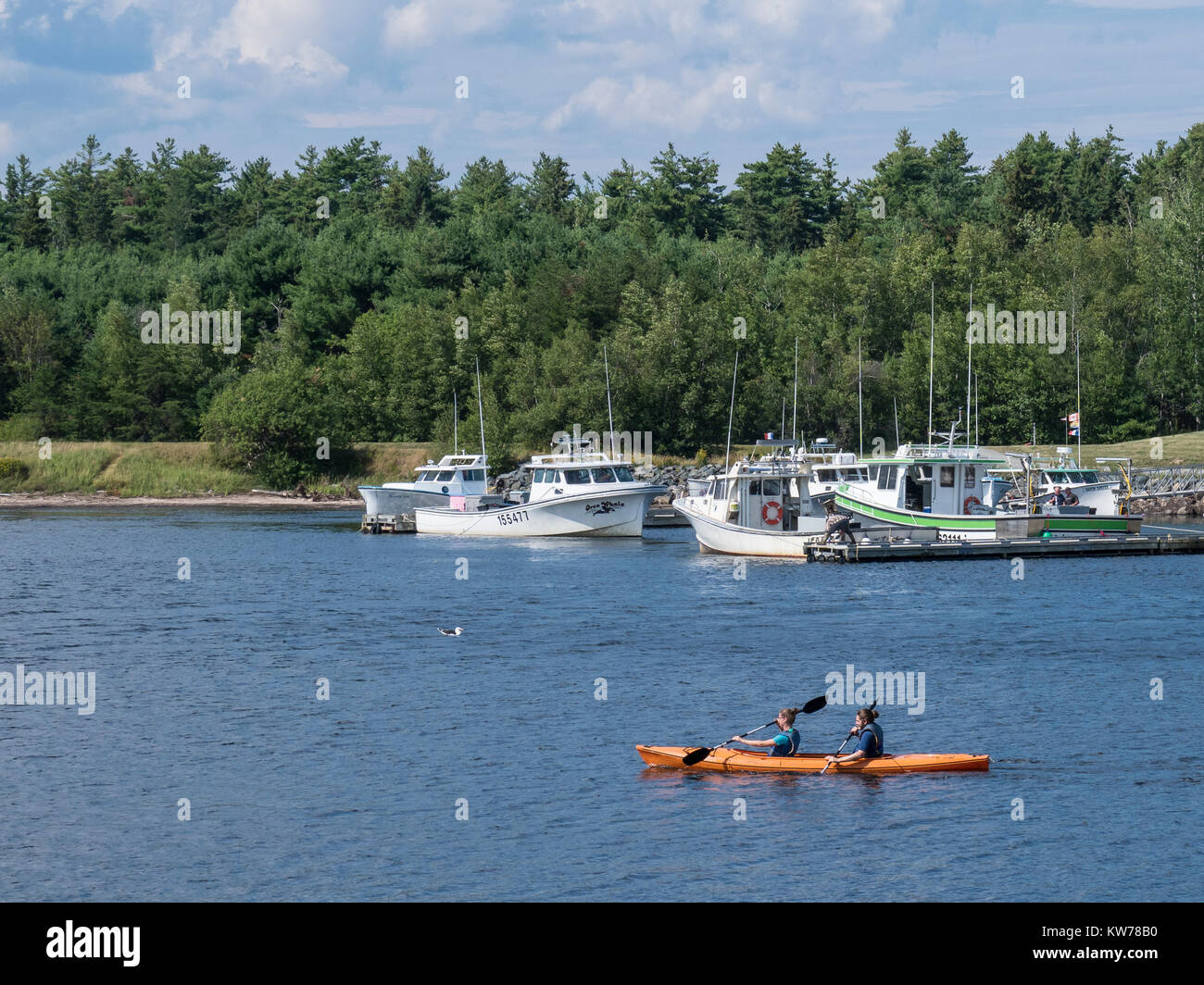 Lobster boats and kayak, Quai de Loggiecroft Wharf, Kouchibouguac River