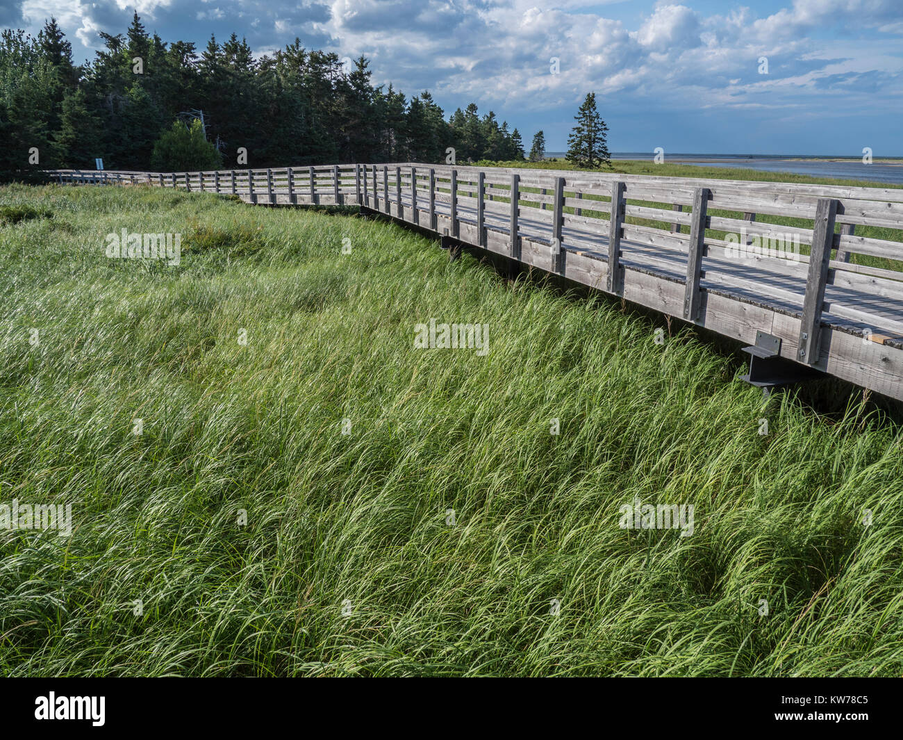 Boardwalk to South Kouchibouguac Dune, Kouchibouguac National Park, New