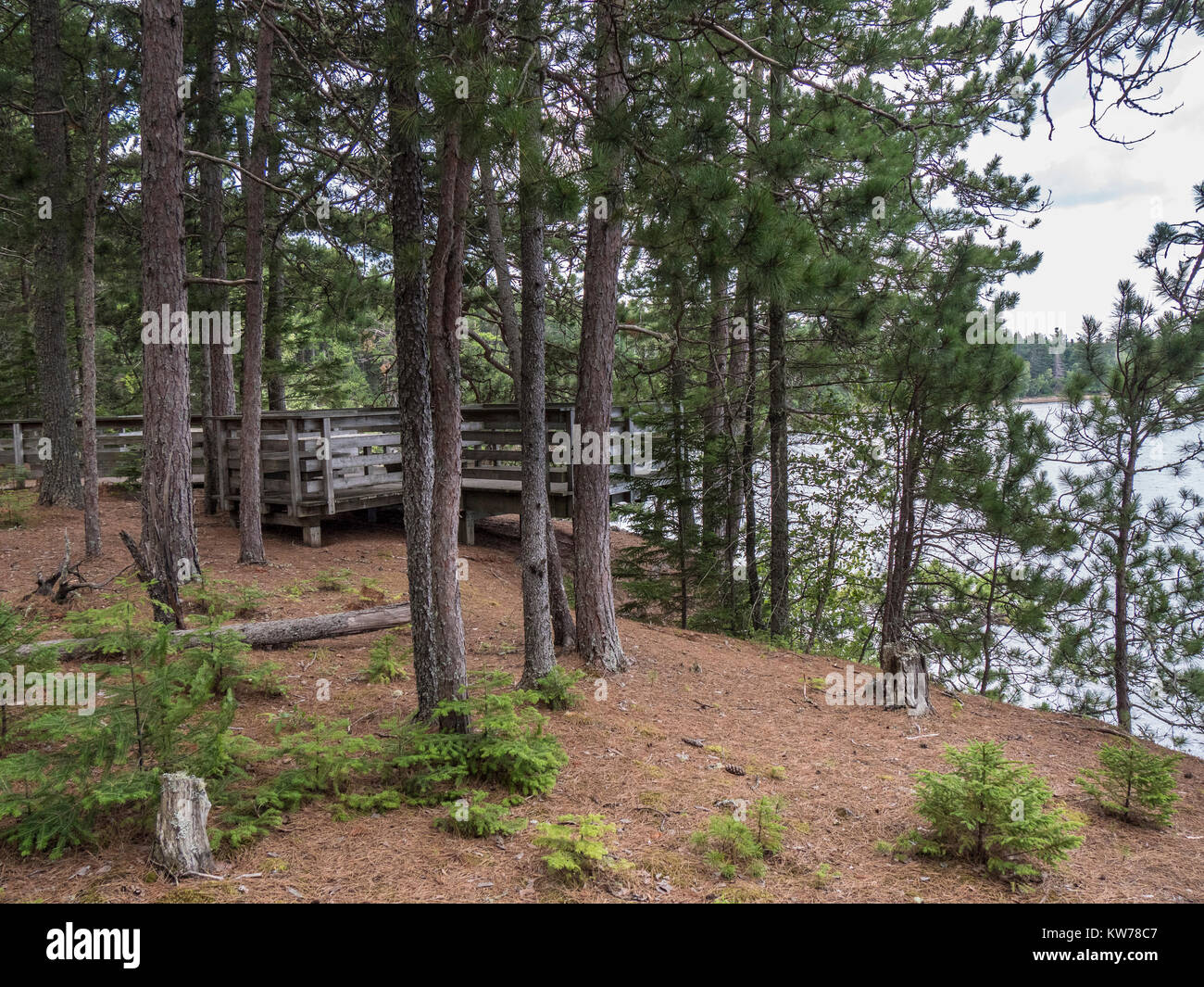 River overlook, Kouchibouguac River Trail, Kouchibouguac National Park