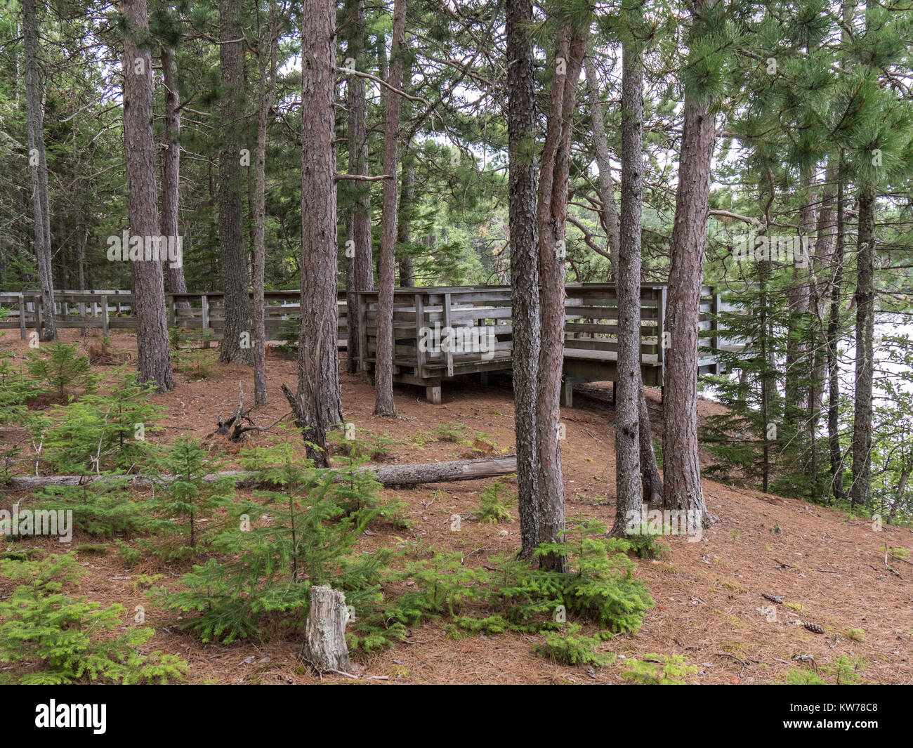 River overlook, Kouchibouguac River Trail, Kouchibouguac National Park
