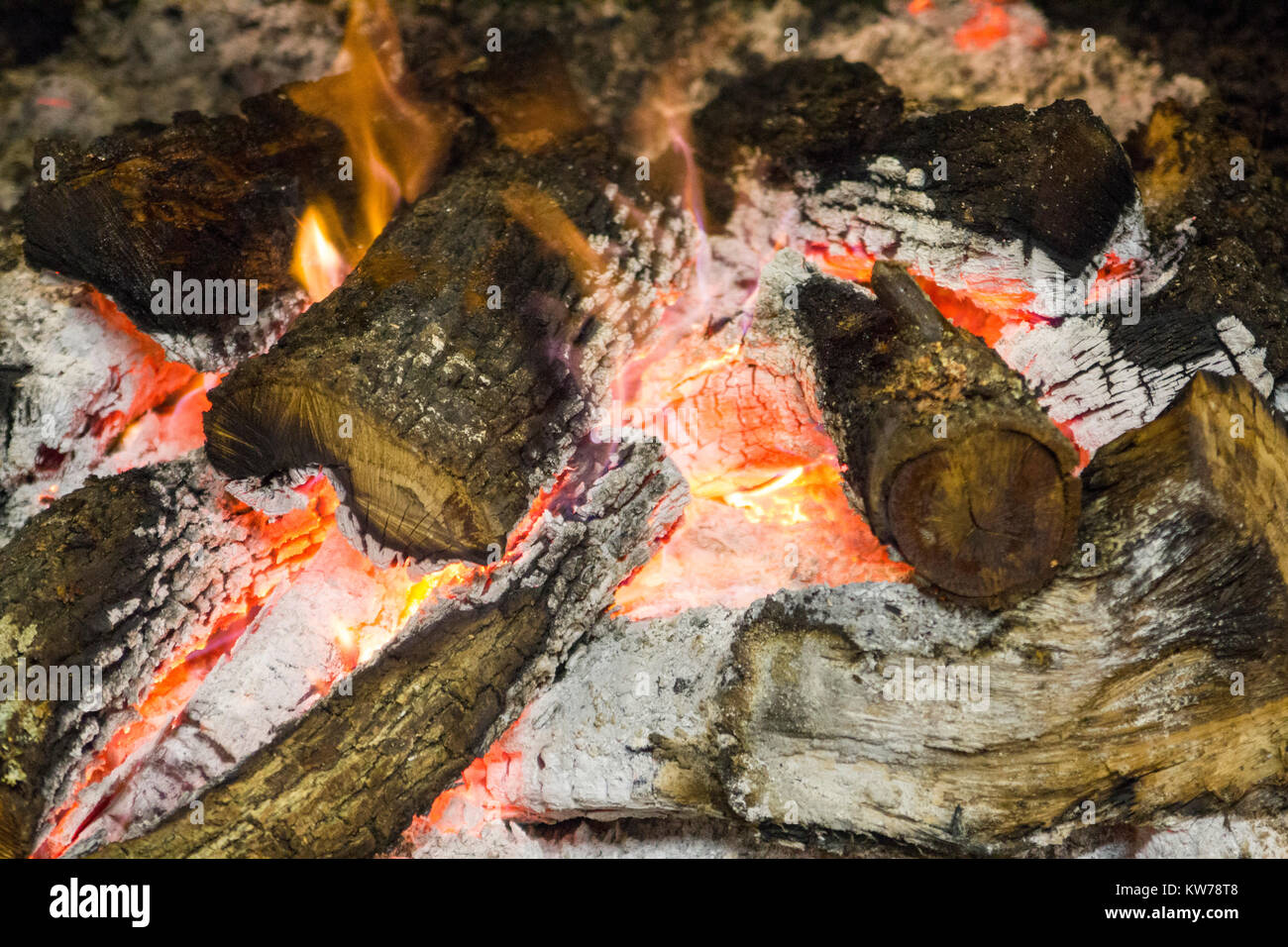 Close up of Oak logs in fire Stock Photo