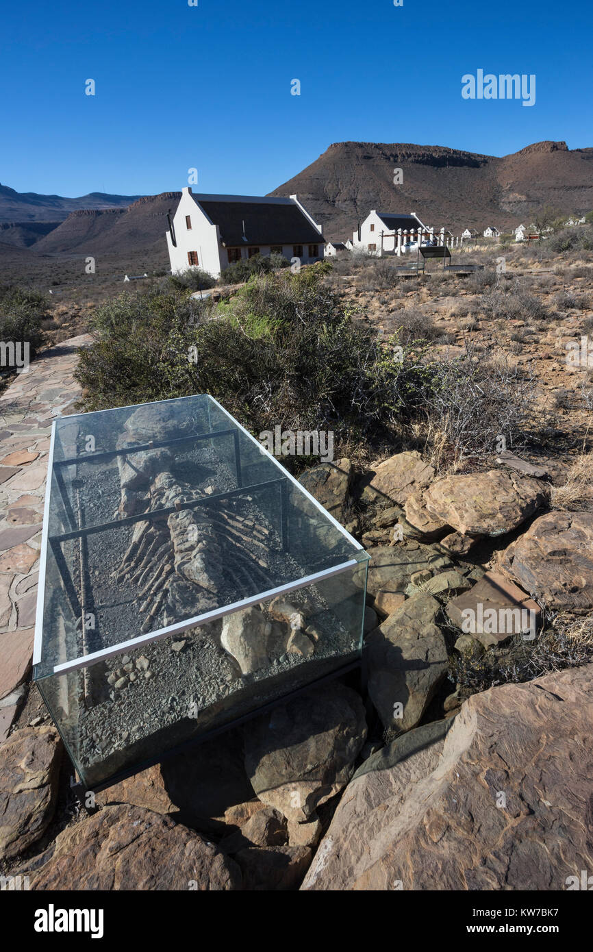 Fossil trail, with reproduction Bradysaurus skeleton, Karoo national park rest camp, Western Cape, South Africa, September 2017 Stock Photo