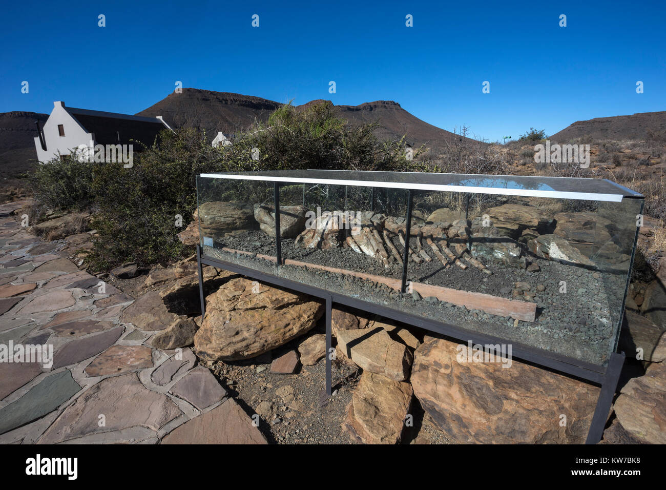 Fossil trail, with reproduction Bradysaurus skeleton, Karoo national park rest camp, Western Cape, South Africa, September 2017 Stock Photo