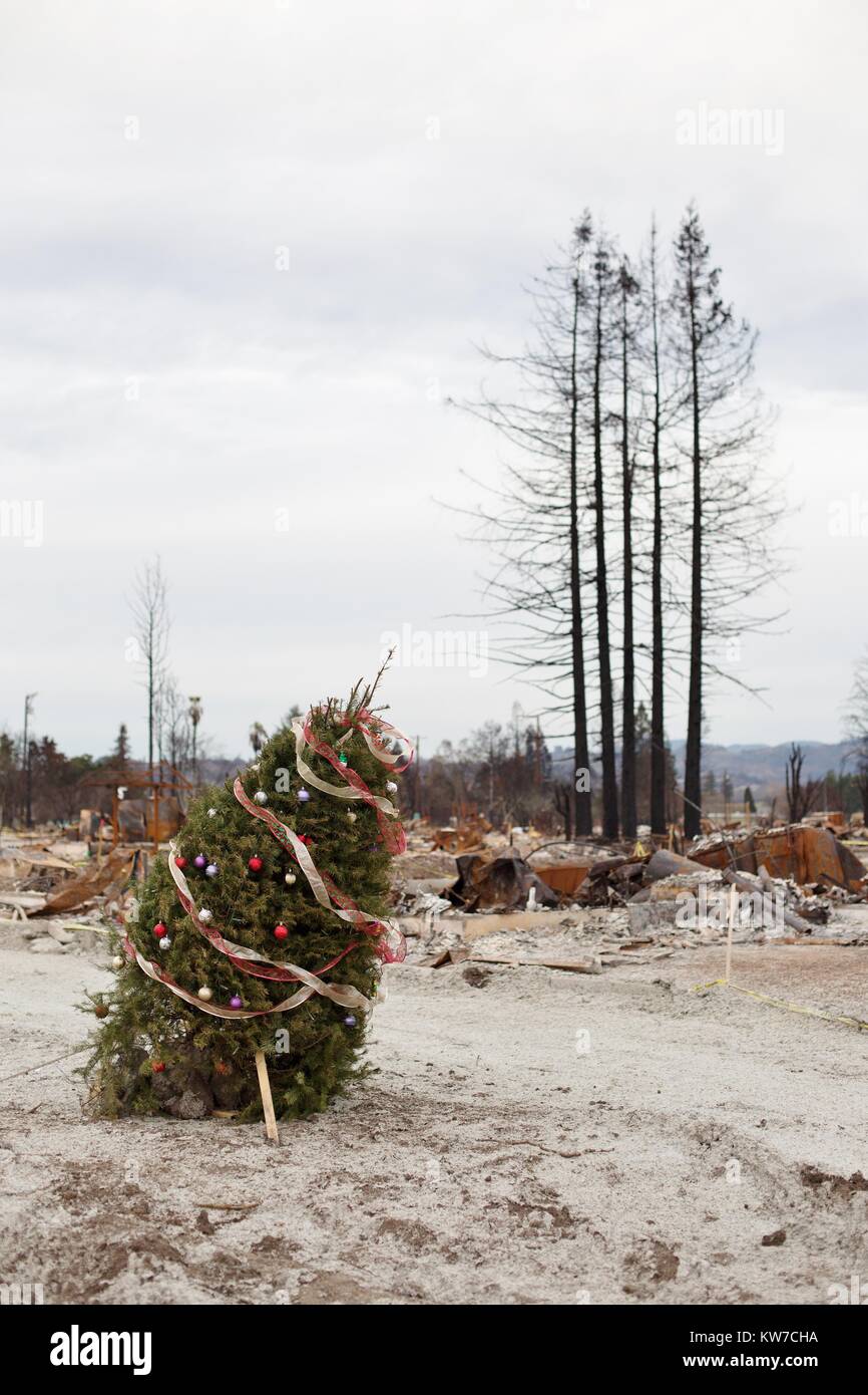 Christmas Aftermath High Resolution Stock Photography and Images - Alamy