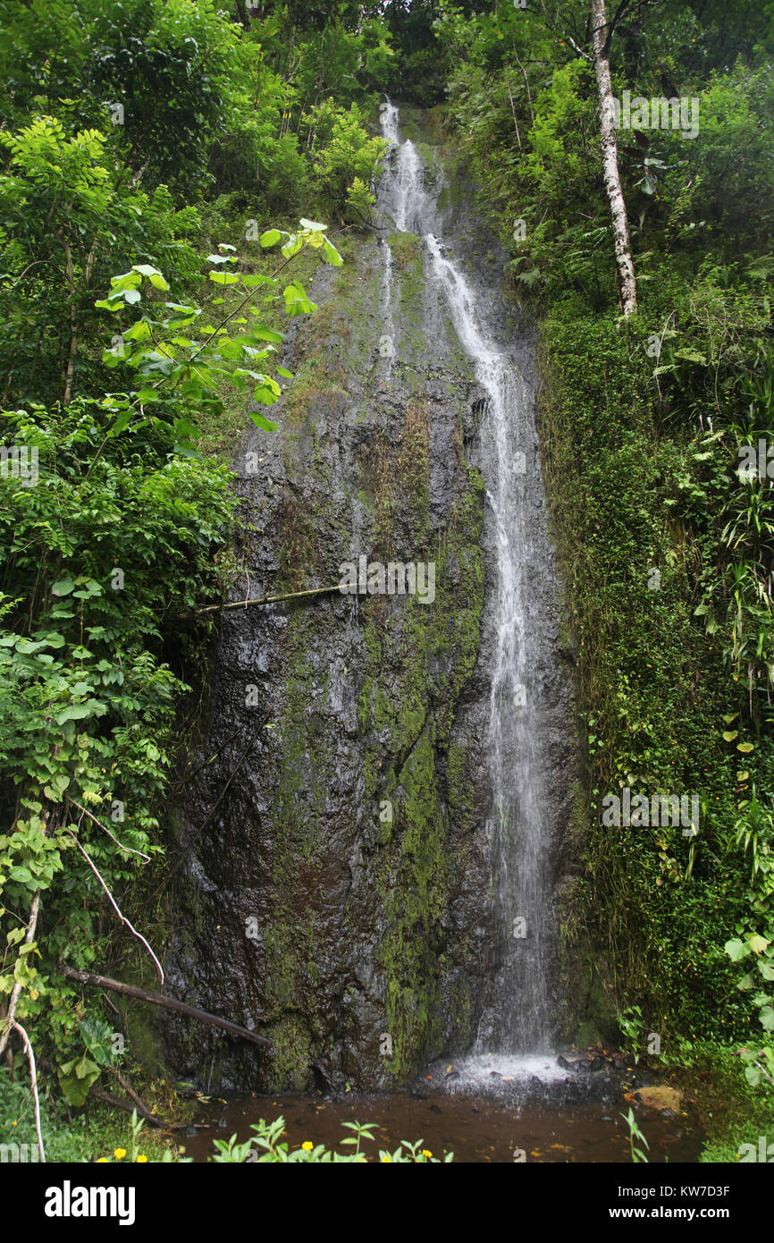 Lush & green landscape with Teharuru waterfall, tahiti, French Polynesia, South Pacific. Stock Photo