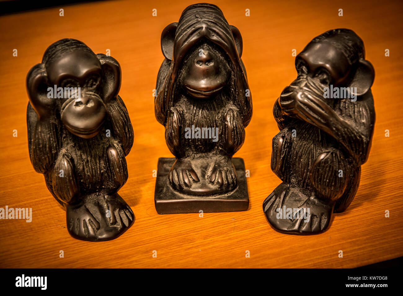 Three wise monkeys Stock Photo