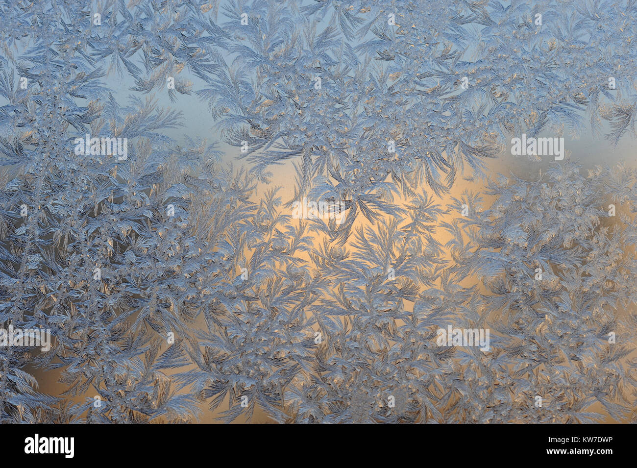 Crystals of ice snowflakes on the window glass Stock Photo - Alamy