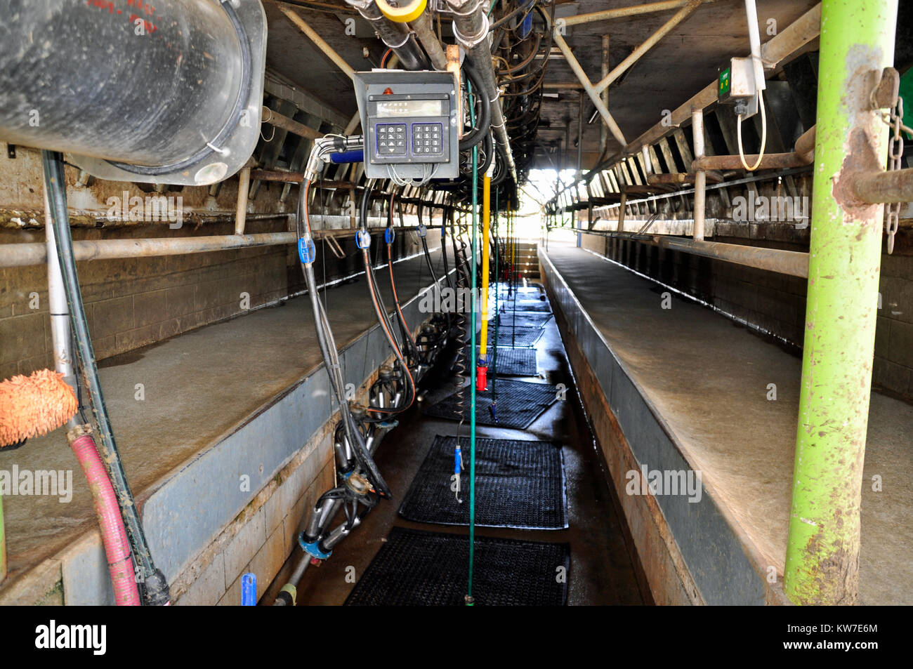 Herringbone dairy hires stock photography and images Alamy