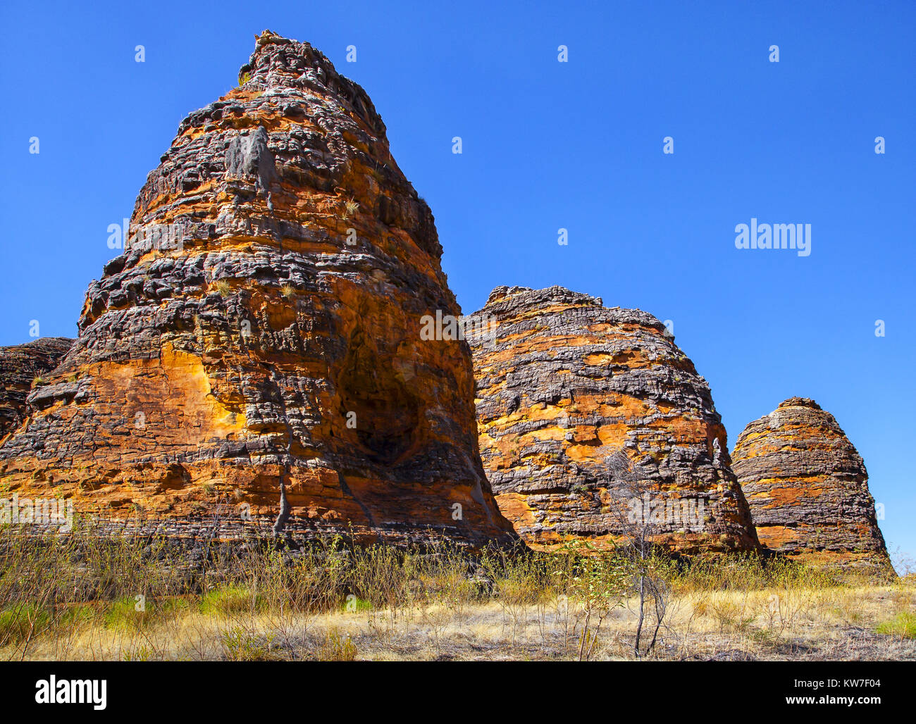 The majestic beehive like sandstone formations rise out of the landscape, Bungle Bungles, Purnululu National Park, Western Australia, Australia Stock Photo